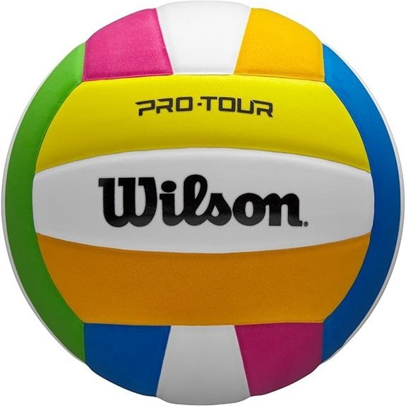 7 Best Indoor Volleyballs 4 WILSON Pro Tour Indoor